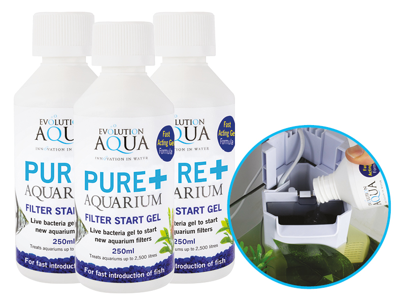 Pure+ Filter Start Gel